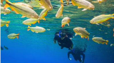 Como Bonito, paraíso do ecoturismo, ajuda a frear o aquecimento global