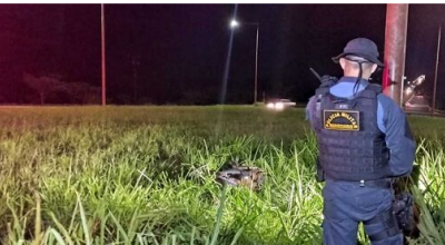 Motociclista passa reto em rotatória, bate em poste e morre em Mato Grosso do Sul