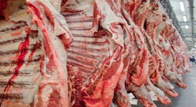 China vai comprar carne de mais cinco frigoríficos de MS e medida permite melhoria de preço interno