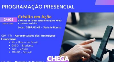 Sebrae fecha Semana do Mei com networking