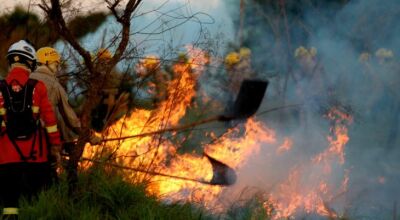 Treinamento de combate ao fogo qualifica novos soldados dos Bombeiros para atuar em incêndios flores