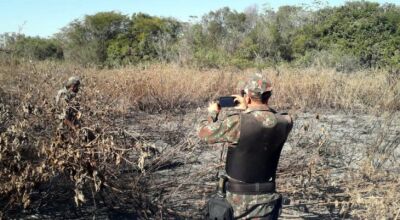 MS já aplicou R$ 54 milhões em multas por incêndios no Pantanal, e mutirão vai acelerar processos