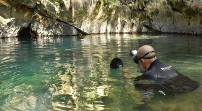 Cascudo criticamente ameaçado de extinção é avistado em caverna de Bonito após 20 anos