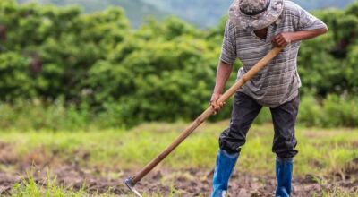 Investimento na agricultura familiar sobe 130% em edital de extensão da Fundect