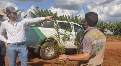 Governo de MS publica abertura de concurso da Iagro com 29 vagas para médico veterinário