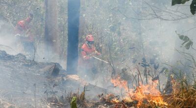 Bioma tem oito focos ativos mesmo após semana de frio e chuva em MS