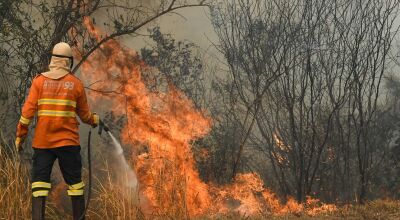 Fogo e fumaça se intensificam no Pantanal e combate aos incêndios em MS continua a ter reforços