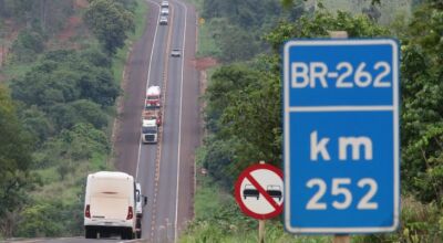 Governo lança edital público de licitação da Rota da Celulose