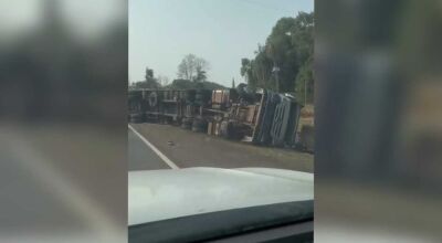 Carreta com silagem tomba em curva de rodovia em MS