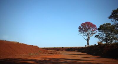 Com temperaturas acima da média e baixa umidade do ar, tempo permanece estável nesta terça-feira