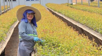 Mulheres ocupam 85% das vagas em viveiro de mudas e mostram a força da inserção no mercado  