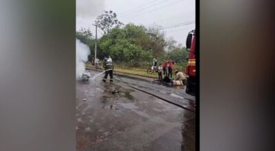 Moto pega fogo após colidir contra vaca em Mato Grosso do Sul