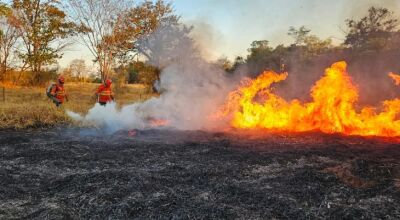 Pantanal de MS tem quatro focos de incêndios ativos e trabalho de combate no bioma completa 198 dias