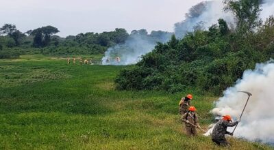 Em 12 dias, chuvas acima da média contribuem para controlar focos de incêndios no Pantanal de MS