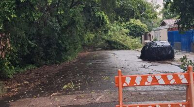 Chuva de 110 mm causa estragos e transtornos durante a madrugada em Bonito