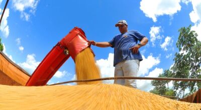 Produtores rurais devem declarar área plantada de soja até o dia 10 de janeiro no site da Iagro