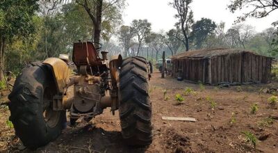 Trabalhador rural é atacado por enxame de abelhas e morre 