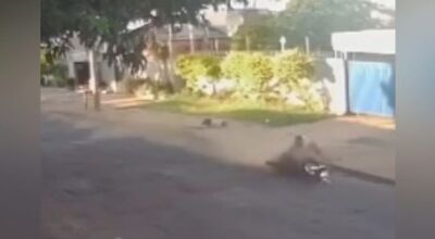 Choque prende motociclista que atropelou idosa e fugiu em MS