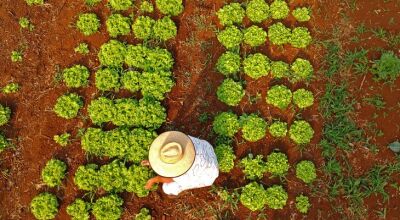 Confira o resultado: programa qualificará recém-formados de MS para atuar na agricultura familiar