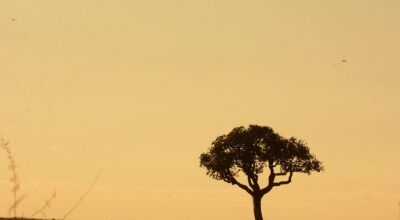 Chuva abaixo da média e calor acima são previstos para fevereiro, março e abril em MS