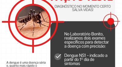 Prevenção e Diagnóstico da Dengue: Tudo o que Você Precisa Saber