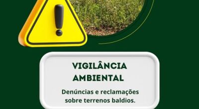 Denúncias e reclamações sobre terrenos baldios devem ser feitas pelo número da Vigilância Ambiental