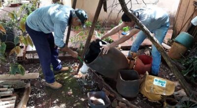 MS registra 4.517 casos confirmados de dengue