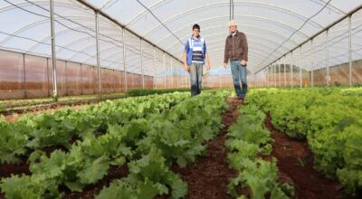Trabalho em equipe da Agraer inspira criação de aplicativo nacional do Crédito Fundiário