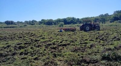 Prefeitura de Bonito fortalece agricultura familiar com apoio t&eacute;cnico e maquin&aacute;rio agr&iacute;cola