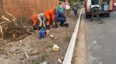 Guardas municipais auxiliam bombeiros em resgate de acidente de trânsito