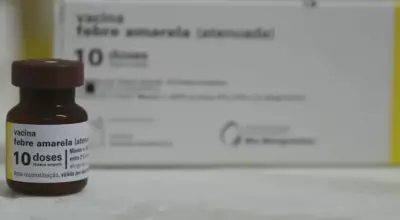 MS completa 10 anos sem casos de febre amarela humana e mantém alerta com vacinação