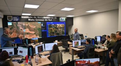 MS tem monitoramento ambiental para identificar desmatamento e queimadas