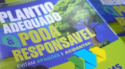 Bonito é pioneira em acordo para manejo seguro da vegetação urbana