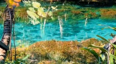 Nascente Azul Um Tesouro Natural de Beleza Incomparável