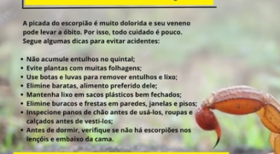 Prefeitura de Bonito orienta população sobre prevenção contra escorpiões