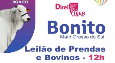 Bonito realiza 6&ordm; Leil&atilde;o Direito de Viver em prol do Hospital de Amor