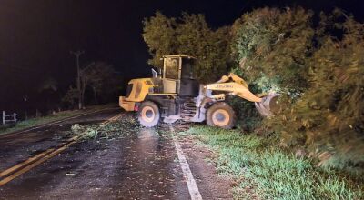 Bonito realiza remo&ccedil;&atilde;o de &aacute;rvores que desabaram com chuva