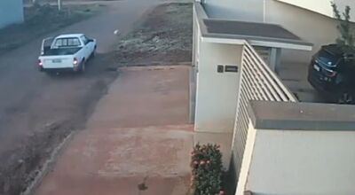 Cachorro &eacute; perseguido e espancado por homem na carroceria de ve&iacute;culo 