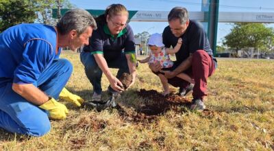 Plantio de ip&ecirc;s celebra 40 anos do Detran de MS e eterniza hist&oacute;rias de gera&ccedil;&otilde;es