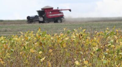 Come&ccedil;a plantio da maior safra de soja de Mato Grosso do Sul, com expectativa de colher 15 milh&otilde;es