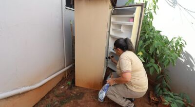 MS registra 8.299 casos confirmados de dengue