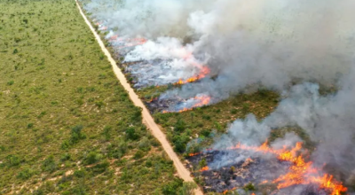 Semin&aacute;rio sobre Manejo Integrado do Fogo antecipa solu&ccedil;&otilde;es de enfrentamento e preven&ccedil;&atilde;o a inc&ecirc;ndios 