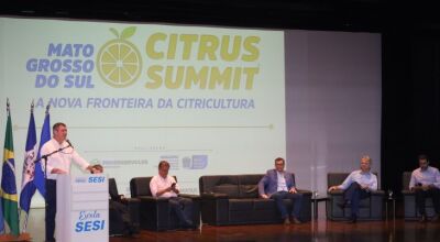 Com apoio do Estado e ambiente positivo, citricultura de MS avan&ccedil;a como nova fronteira agr&iacute;cola  