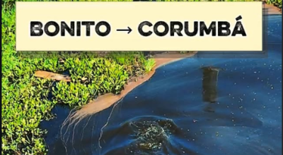 Viagem entre Bonito e Corumb&aacute; pela MS-178 e BR-262 revela a for&ccedil;a do Pantanal