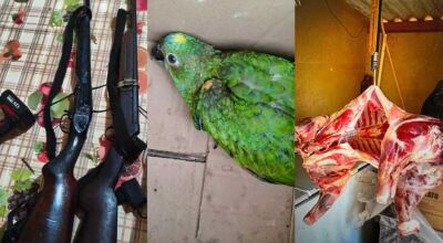 Homem &eacute; preso por viol&ecirc;ncia dom&eacute;stica e pol&iacute;cia encontra armas, animais e carneiros furtados 