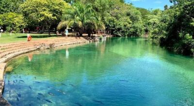 Saiba quais documentos s&atilde;o necess&aacute;rios para gratuidade no Balne&aacute;rio Municipal