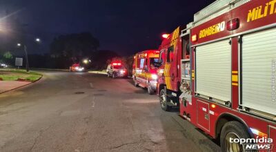 Motorista morre ao atropelar javali em Mato Grosso do Sul