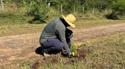 Prefeitura realiza a&ccedil;&atilde;o de arboriza&ccedil;&atilde;o na rodovia de acesso ao Balne&aacute;rio Municipal