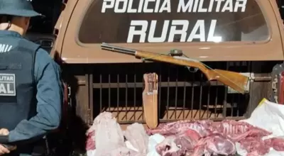 Homem &eacute; preso com carne de jacar&eacute; e javali, arma e muni&ccedil;&otilde;es na zona rural de MS