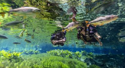 Bonito recebe 293 mil turistas em 2025 e mant&eacute;m turismo em patamar elevado